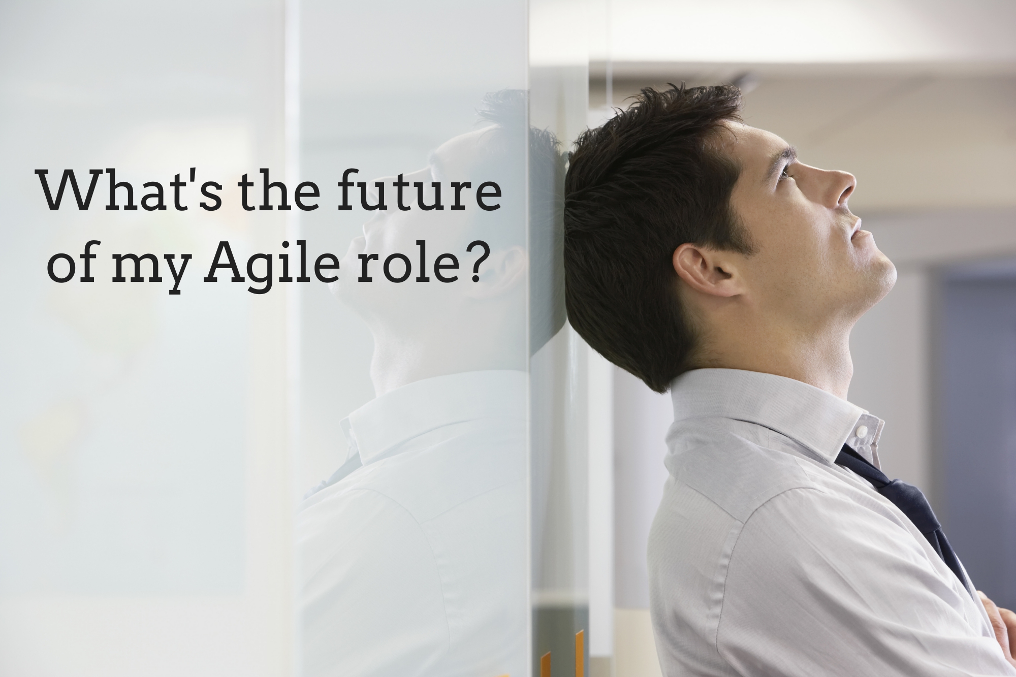 The Future of Agile Roles != The Future of Agility